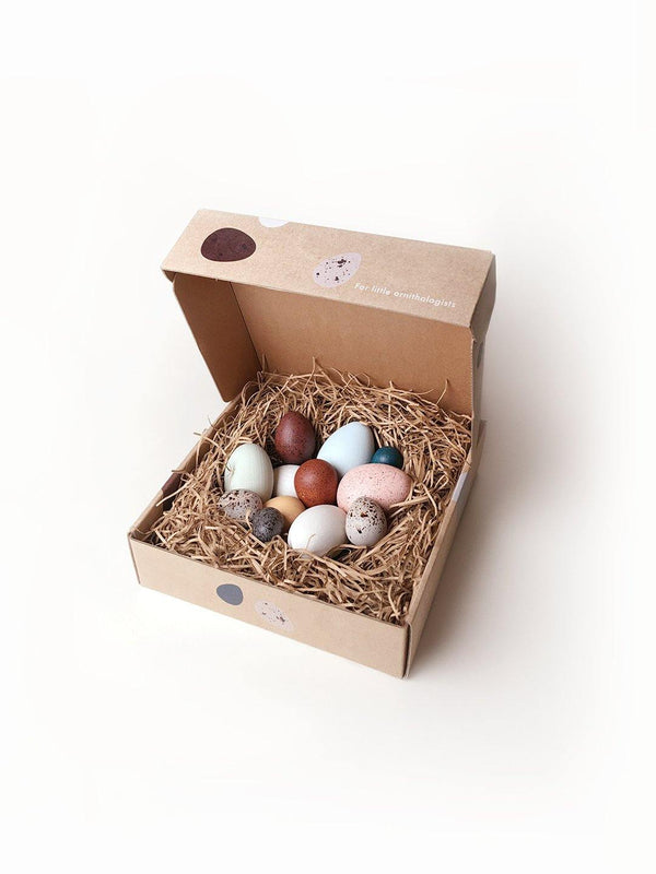 a dozen bird eggs in a box moon picnic robin raven nest